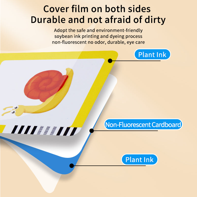 LingoDraw - Arabic & English SKY MEGA BOX