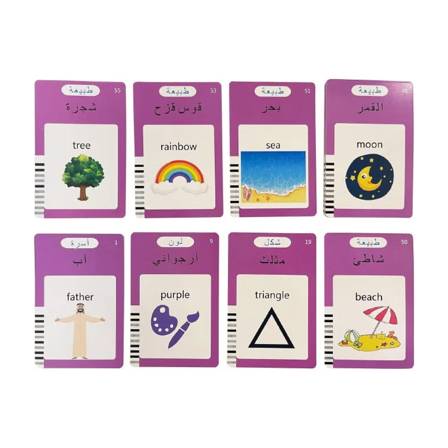 LingoSky - Arabic & English SKY MEGA BOX