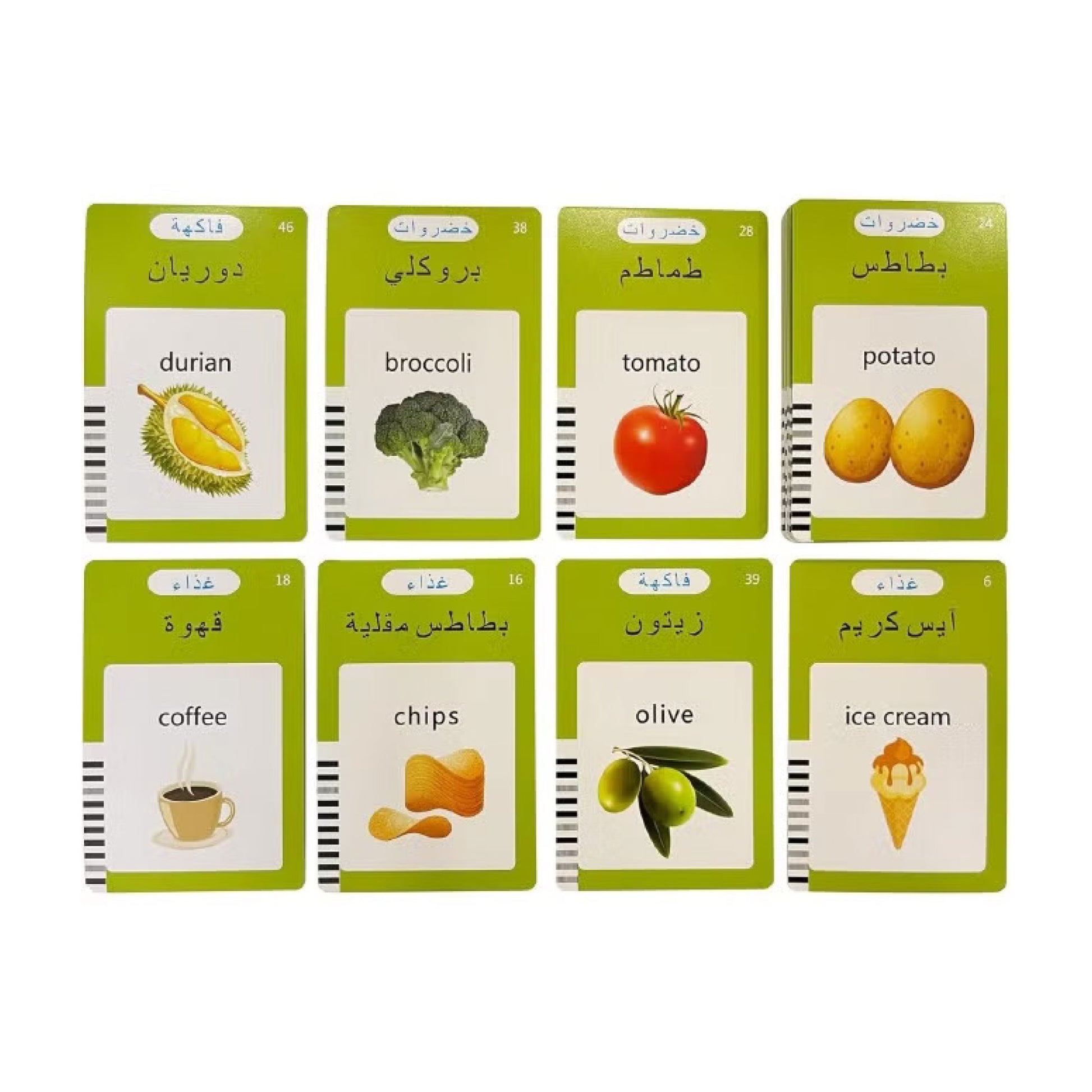 LingoSky - Arabic & English SKY MEGA BOX