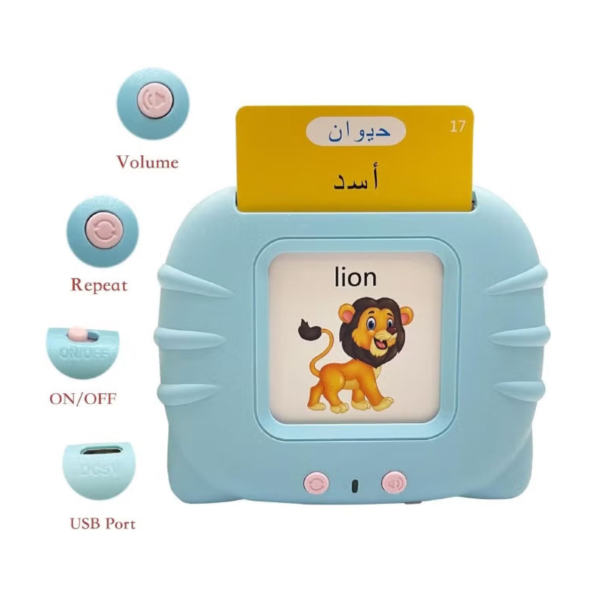 LingoSky - Arabic & English SKY MEGA BOX