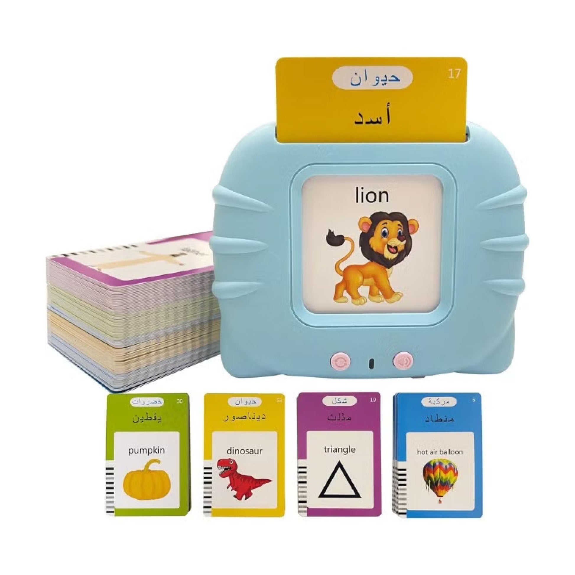 LingoSky - Arabic & English SKY MEGA BOX